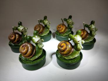 Teelichter Schnecke 1x6